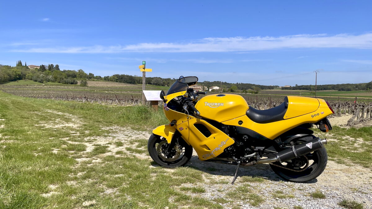 Plaine du Languedoc